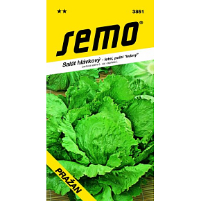 Semo Summer Head Lettuce, Field Iceberg Prague 0.6 g