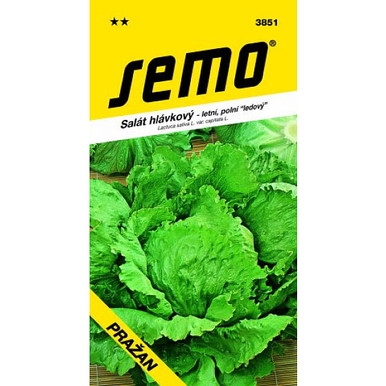 Semo Summer Head Lettuce, Field Iceberg Prague 0.6 g