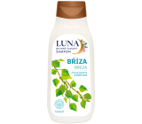 Alpa Luna Birch herbal hair shampoo, reduces excessive hair oiling 430 ml
