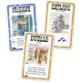 Albi Bang! adventure card game