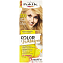 Schwarzkopf Palette Color Hair Tint 308 - Golden Blonde