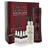 Alterna Caviar Clinical Starter Kit, Caviar Clinical Daily Detoxifying Shampoo 250 ml, Caviar Clinical Daily Root & Scalp Stimulator 100 ml, Caviar Clinical Weekly Intensive Boosting Treatment 6 x 6.5 ml