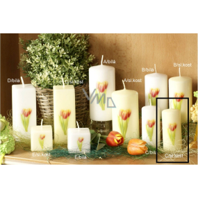 Lima Flower Tulip scented ivory candle with decal tulip cylinder 40 x 90 mm 1 piece