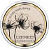 Catrice Glow Patrol Glowy Highlighter Brightener C01 Muse 8.5 g