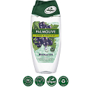 Palmolive Pure Blackcurrant Shower Gel 250 ml