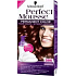 Perfect Mousse Permanent Color 5 hair color 86 Intensive mahogany