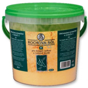 Drutep Rochova Salt PI 1 kg Bucket