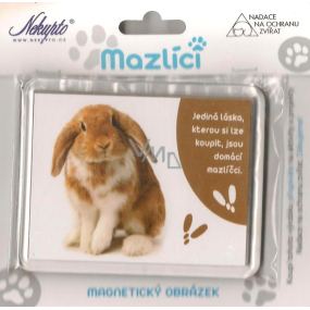 Nekupto Pets magnetic image Rabbit