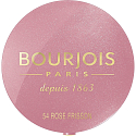 Bourjois Fard Pastel Joues Blush 54 Rose Frisson 2.5 g