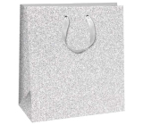 Ditipo Gift paper bag 20 x 8 x 20 cm Silver