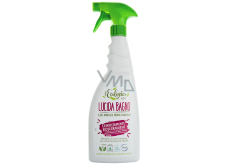 Icefor L´ecologico Lucida Bagno ecological bathroom cleaner 750 ml