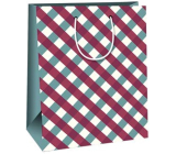 Ditipo Paper gift bag 26,4 x 13,6 x 32,7 cm Purple and green stripes