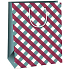 Ditipo Paper gift bag 26,4 x 13,6 x 32,7 cm Purple and green stripes