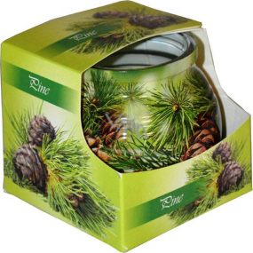 Admit Pine decorative aromatic candle in glass 80 g