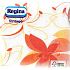 Regina Vintage Paper Napkins 1 ply 33 x 33 cm 45 pieces Orange