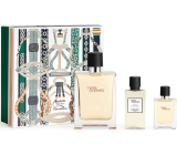 Hermes Terre D Hermes Eau de Toilette 100 ml + Eau de Toilette 12,5 ml + After Shave 40 ml, gift set for men