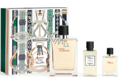 Hermes Terre D Hermes Eau de Toilette 100 ml + Eau de Toilette 12,5 ml + After Shave 40 ml, gift set for men