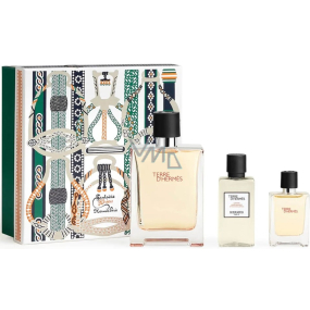 Hermes Terre D Hermes Eau de Toilette 100 ml + Eau de Toilette 12,5 ml + After Shave 40 ml, gift set for men