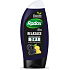 Radox Men Relaxation Blackberry and Ginger 3in1 shower gel and shampoo for men 250 ml