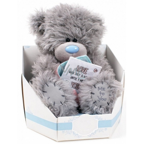 Me to You Teddy bear love letter 17 cm