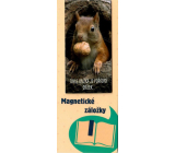 Albi Magnetic bookmark for the book Squirrel with a nut 8.7 x 4.4 cm