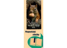 Albi Magnetic bookmark for the book Squirrel with a nut 8.7 x 4.4 cm