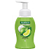 Palmolive Magic Softness Lemon & Mint foaming liquid hand wash 250 ml dispenser 12 pieces carton