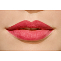 Catrice Matt Lip Artist 6hr lipstick 030 Barberry Hopping 3 g