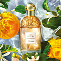 Guerlain Aqua Allegoria Orange Soleia Eau de Toilette for Women 30 ml