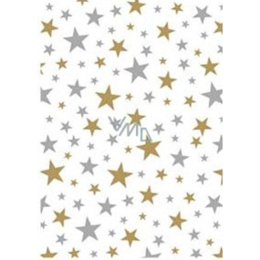 Ditipo Gift wrapping paper 70 x 500 cm White gold and silver stars