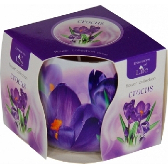Essences of Life Crocus aromatic candle in glass 100 g