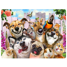 Prime3D postcard - Animal Selfie 16 x 12 cm