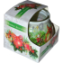 Admit Christmas Decorations scented candle in glass 80 g