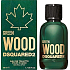 Dsquared2 Green Wood eau de toilette for men 50 ml