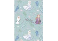 Ditipo Gift wrapping paper 70 x 200 cm Christmas Disney Anna, Elsa and Olaf in circles light green