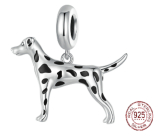 Charm Sterling Silver 925 Dog - Dalmatian, animal bracelet pendant