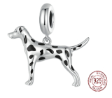 Charm Sterling silver 925 Dalmatian, animal bracelet pendant