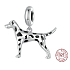 Charm Sterling Silver 925 Dog - Dalmatian, animal bracelet pendant