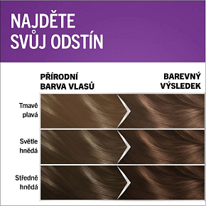 Schwarzkopf Perfect Mousse hair dye 6-00 (600) light brown Schwarzkopf Perfect Mousse hair dye 6-00 (600) light brown