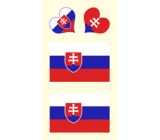 Arch Tattoo decals for face and body Slovakia flag 3 motif