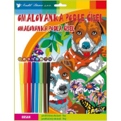 Color by Numbers with Markers Dogs 24 x 29 cm