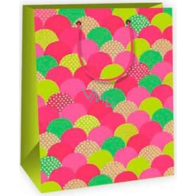 Ditipo Gift paper bag 18 x 10 x 22.7 cm multicolored wheels