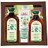 Green Pharmacy Nettle and Burdock Root Oil Shampoo for normal hair 350 ml for women + hair conditioner 300 ml + Aloe and avocado oil moisturizing cream for hands and nails 100 ml + lip balm 3.6 g, cosmetic set