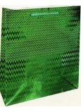 Nekupto Gift paper bag hologram 14 x 11 x 6,5 cm Green