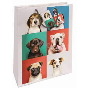 Nekupto Gift paper bag 32,5 x 26 x 13 cm Dogs
