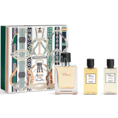 Hermes Terre D Hermes Eau de Toilette 50 ml + shower gel 40 ml + aftershave 40 ml, gift set for men