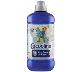 Coccolino Water Lily & Pink Grapefruit concentrated fabric softener 51 doses 1,275 l