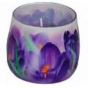 Essences of Life Crocus aromatic candle in glass 100 g