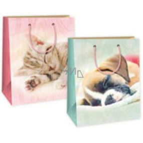 Ditipo Gift paper bag 18 x 10 x 22.7 cm cat, dog