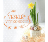 Nekupto Easter Wishes Happy Easter Sunny Spring Days 100 x 100 mm 3556 XI